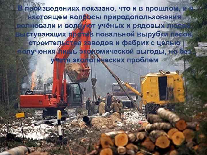В произведениях показано, что и в прошлом, и в настоящем вопросы природопользования волновали и