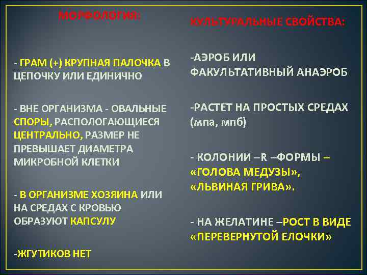 МОРФОЛОГИЯ: ГРАМ (+) КРУПНАЯ ПАЛОЧКА В ЦЕПОЧКУ ИЛИ ЕДИНИЧНО ВНЕ ОРГАНИЗМА ОВАЛЬНЫЕ СПОРЫ, РАСПОЛОГАЮЩИЕСЯ