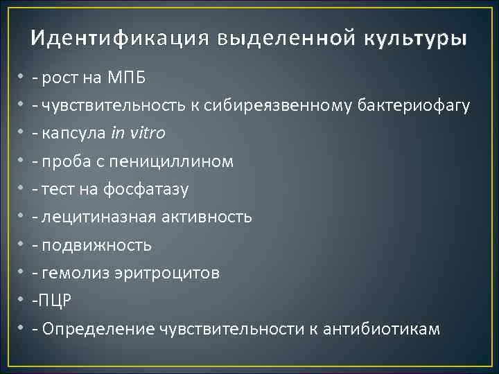 Идентификация выделенной культуры • • • рост на МПБ чувствительность к сибиреязвенному бактериофагу капсула