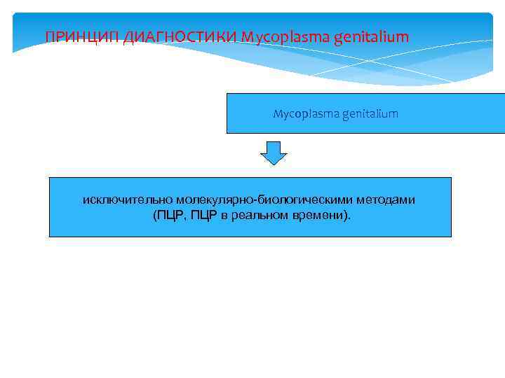 ПРИНЦИП ДИАГНОСТИКИ Mycoplasma genitalium исключительно молекулярно-биологическими методами (ПЦР, ПЦР в реальном времени). 