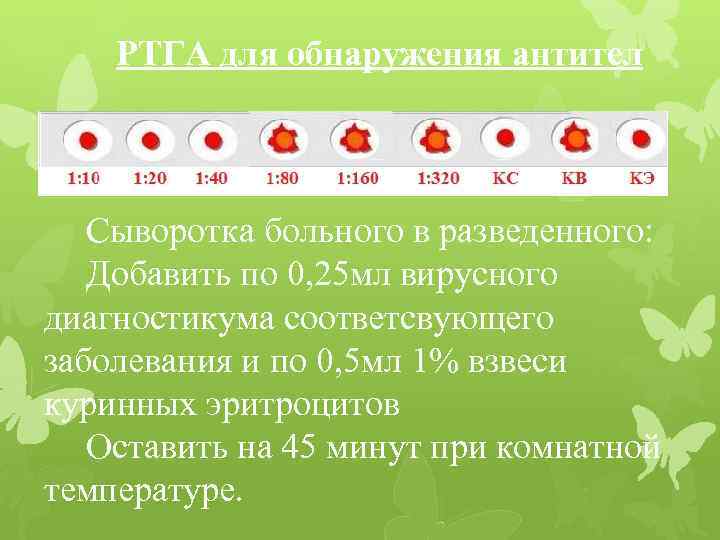 РТГА для обнаружения антител Сыворотка больного в разведенного: Добавить по 0, 25 мл вирусного