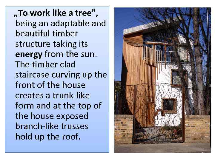  „To work like a tree”, being an adaptable and beautiful timber structure taking