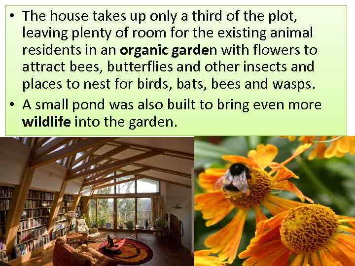  • The house takes up only a third of the plot, leaving plenty