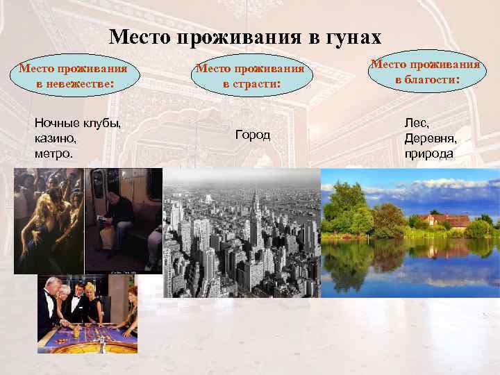 Место проживания в гунах Место проживания в невежестве: Ночные клубы, казино, метро. Место проживания