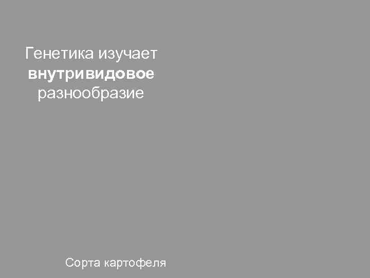 Генетика изучает внутривидовое разнообразие Сорта картофеля 