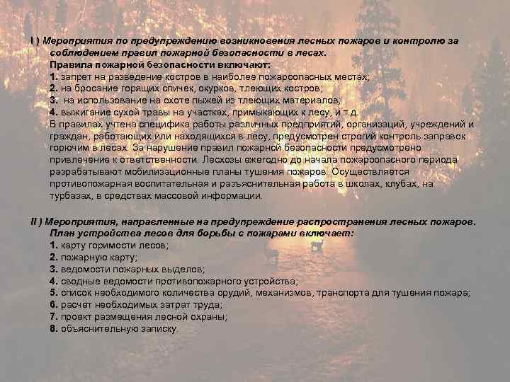  I ) Мероприятия по предупреждению возникновения лесных пожаров и контролю за соблюдением правил