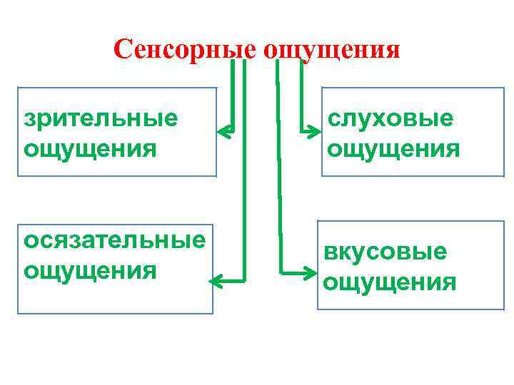 Сенсорные ощущения зрительные ощущения слуховые ощущения осязательные ощущения вкусовые ощущения 