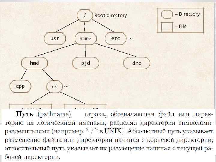 Директория (каталог) 