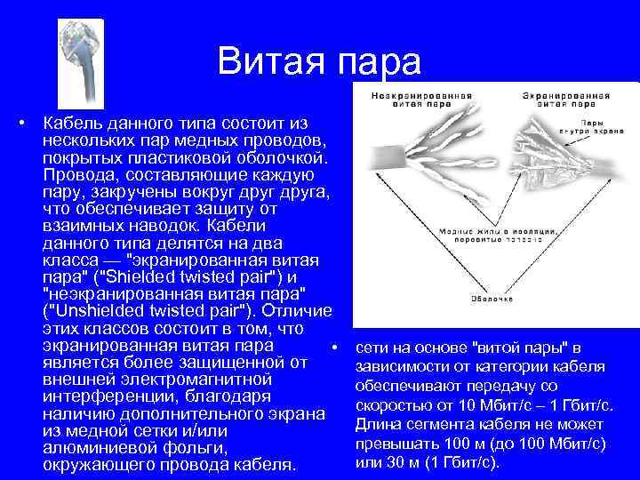 Витая пара • Кабель данного типа состоит из нескольких пар медных проводов, покрытых пластиковой