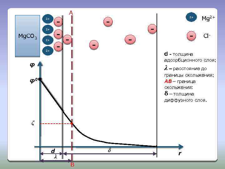 A 2+ 2+ Mg. CO 3 - 2+ 2+ - - - Mg 2+