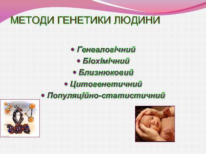 МЕТОДИ ГЕНЕТИКИ ЛЮДИНИ Генеалогічний Біохімічний Близнюковий Цитогенетичний Популяційно-статистичний 