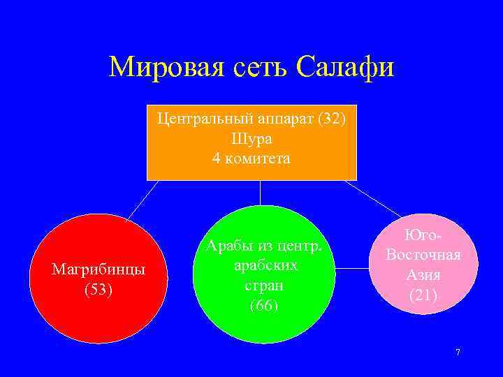 Мировая сеть Салафи Центральный аппарат (32) Шура 4 комитета Магрибинцы (53) Арабы из центр.