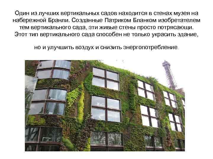 Один из лучших вертикальных садов находится в стенах музея на набережной Бранли. Созданные Патриком