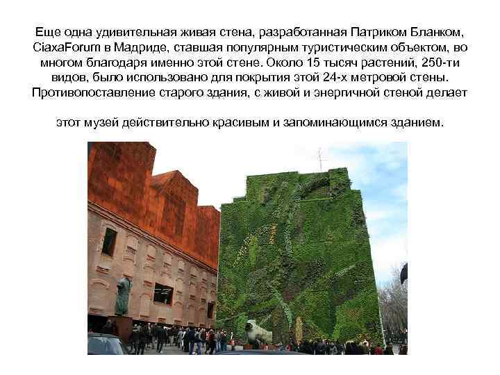 Еще одна удивительная живая стена, разработанная Патриком Бланком, Ciaxa. Forum в Мадриде, ставшая популярным