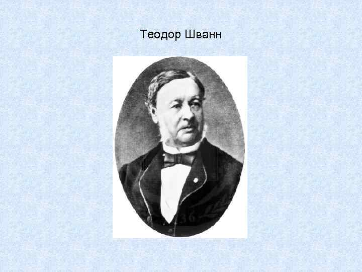 Теодор Шванн 