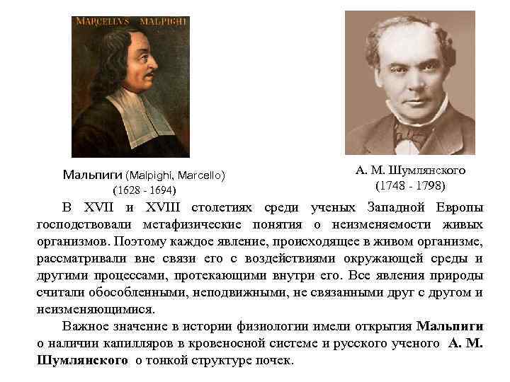 Мальпиги (Malpighi, Marcello) (1628 - 1694) А. М. Шумлянского (1748 - 1798) В XVII