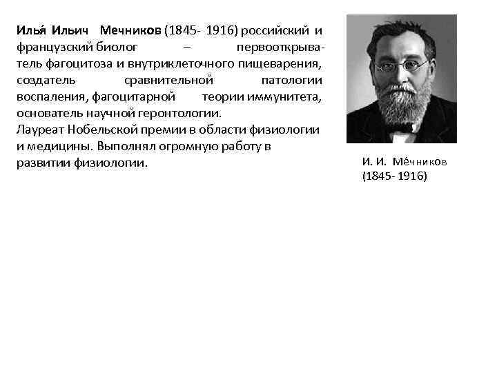 Илья Ильич Мечников (1845 - 1916) российский и французский биолог – первооткрыватель фагоцитоза и