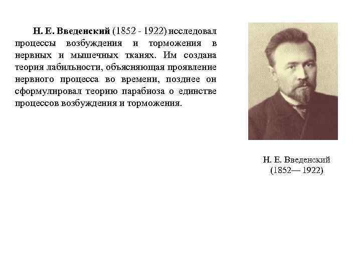 Н. Е. Введенский (1852 - 1922) исследовал процессы возбуждения и торможения в нервных и