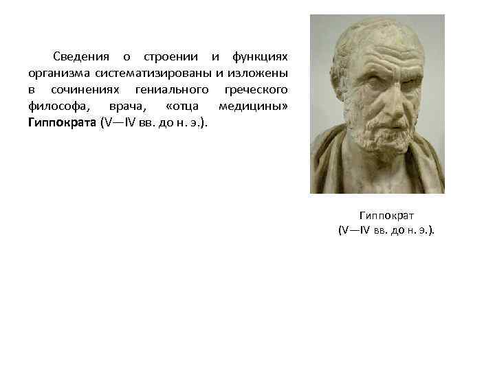 Сведения о строении и функциях организма систематизированы и изложены в сочинениях гениального греческого философа,