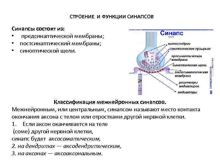 Свойства синапсов