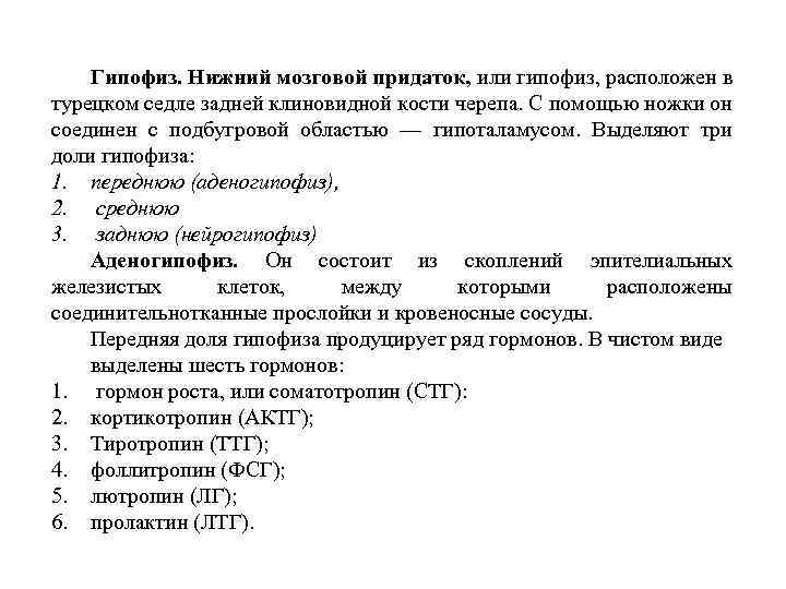 Гипофиз. Нижний мозговой придаток, или гипофиз, расположен в турецком седле задней клиновидной кости черепа.