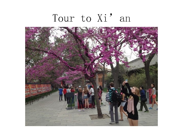 Tour to Xi’an 