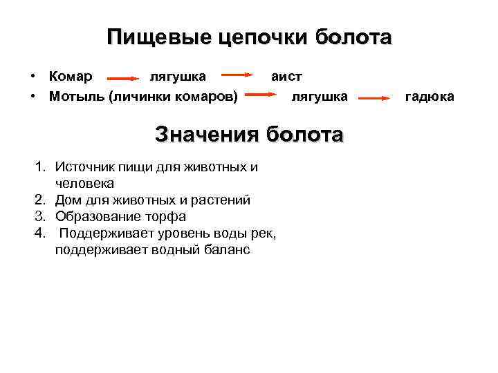 Схема цепи питания болот