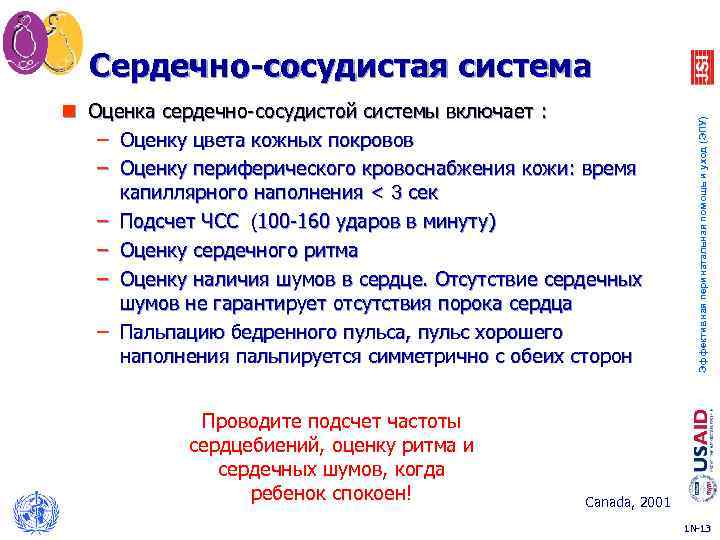 n Оценка сердечно-сосудистой системы включает : – Оценку цвета кожных покровов – Оценку периферического