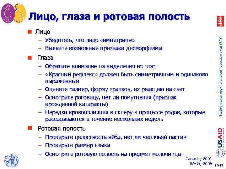 Лицо, глаза и ротовая полость – Убедитесь, что лицо симметрично – Выявите возможные признаки