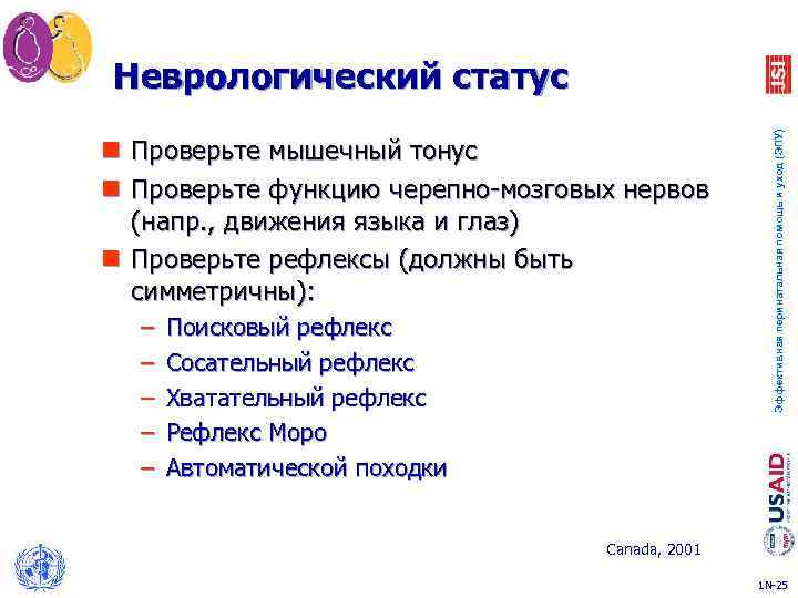 n Проверьте мышечный тонус n Проверьте функцию черепно-мозговых нервов (напр. , движения языка и
