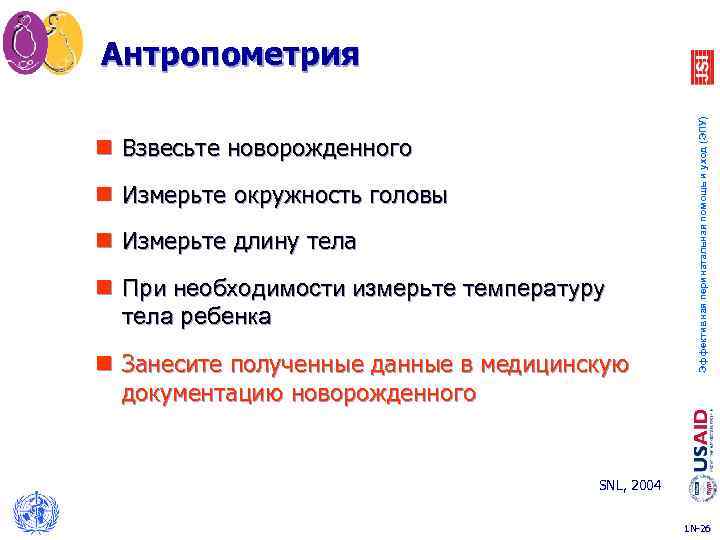 n Взвесьте новорожденного n Измерьте окружность головы n Измерьте длину тела n При необходимости