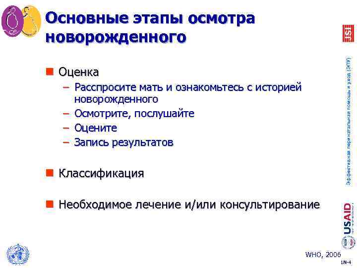 Эффективная перинатальная помощь и уход (ЭПУ) Основные этапы осмотра новорожденного n Оценка – Расспросите