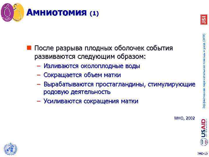 n После разрыва плодных оболочек события развиваются следующим образом: – Изливаются околоплодные воды –