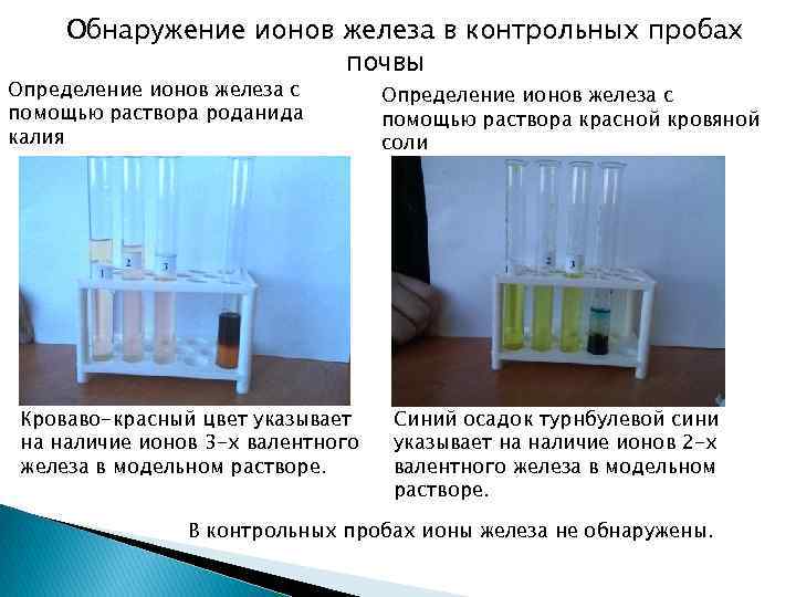 Обнаружение ионов железа в контрольных пробах почвы Определение ионов железа с помощью раствора роданида