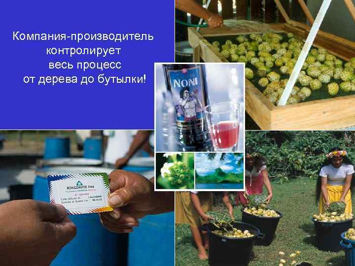 Компания-производитель контролирует весь процесс от дерева до бутылки! 