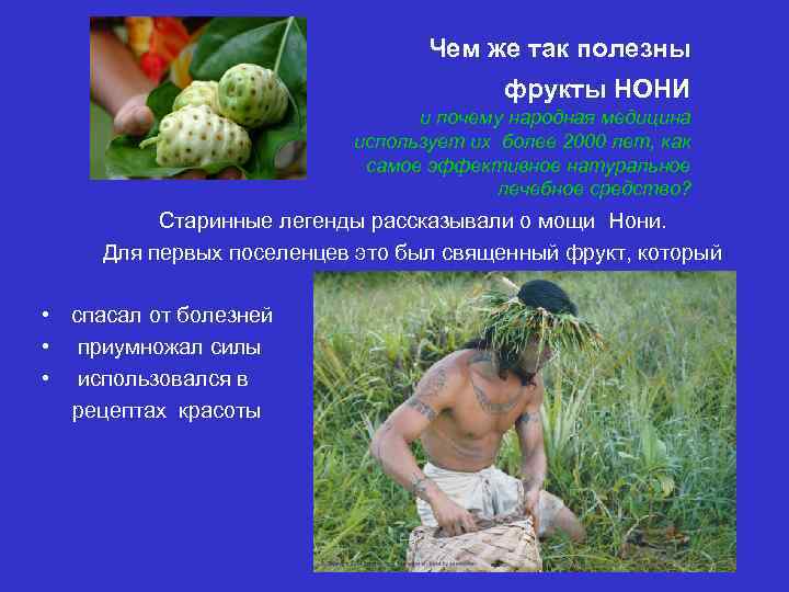 Чем же так полезны фрукты НОНИ и почему народная медицина использует их более 2000