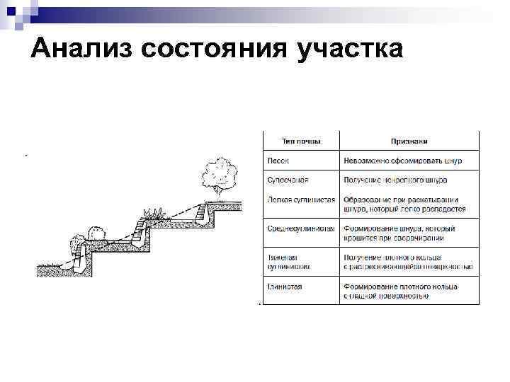 Анализ состояния участка 