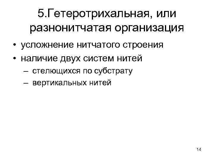 5. Гетеротрихальная, или разнонитчатая организация • усложнение нитчатого строения • наличие двух систем нитей