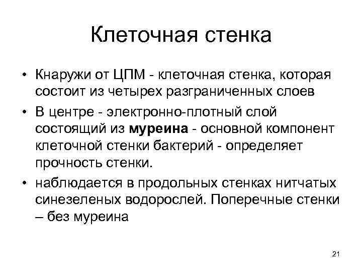 Клеточная стенка • Кнаружи от ЦПМ - клеточная стенка, которая состоит из четырех разграниченных
