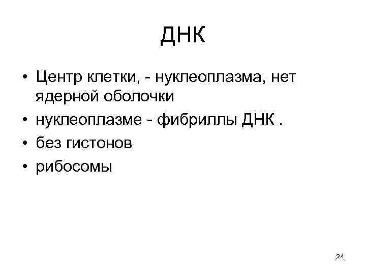 ДНК • Центр клетки, - нуклеоплазма, нет ядерной оболочки • нуклеоплазме - фибриллы ДНК.