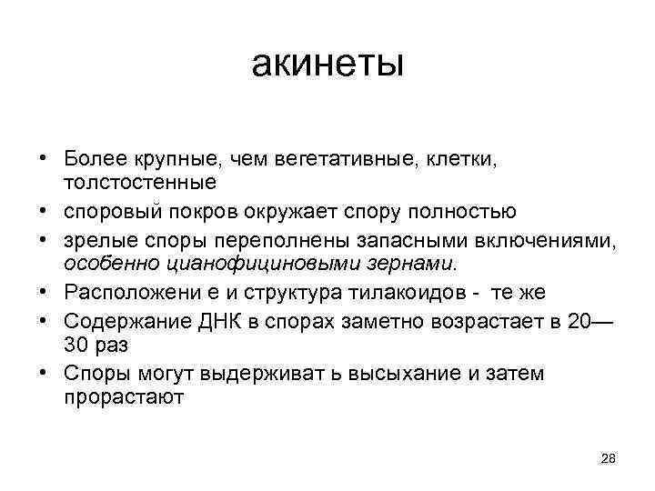 акинеты • Более крупные, чем вегетативные, клетки, толстостенные • споровый покров окружает спору полностью