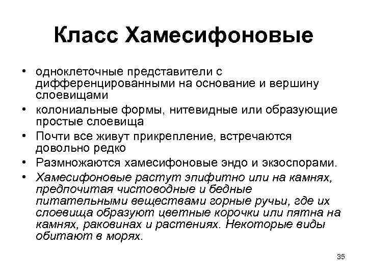 Класс Хамесифоновые • одноклеточные представители с дифференцированными на основание и вершину слоевищами • колониальные