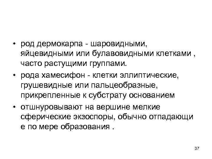  • род дермокарпа - шаровидными, яйцевидными или булавовидными клетками , часто растущими группами.