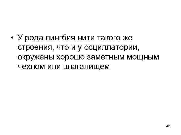  • У рода лингбия нити такого же строения, что и у осциллатории, окружены