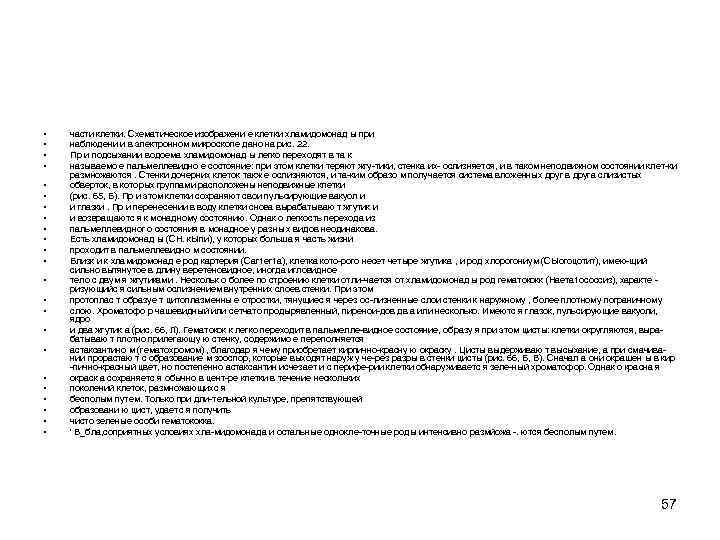  • • • • • • части клетки. Схематическое изображени е клетки хламидомонад