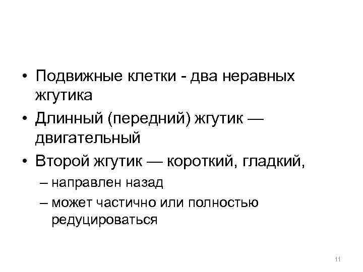  • Подвижные клетки - два неравных жгутика • Длинный (передний) жгутик — двигательный
