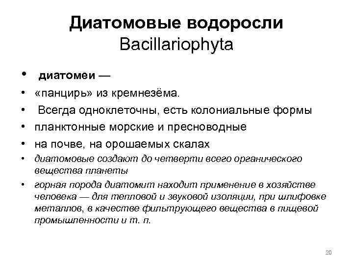 Диатомовые водоросли Bacillariophyta • диатомеи — • • «панцирь» из кремнезёма. Всегда одноклеточны, есть