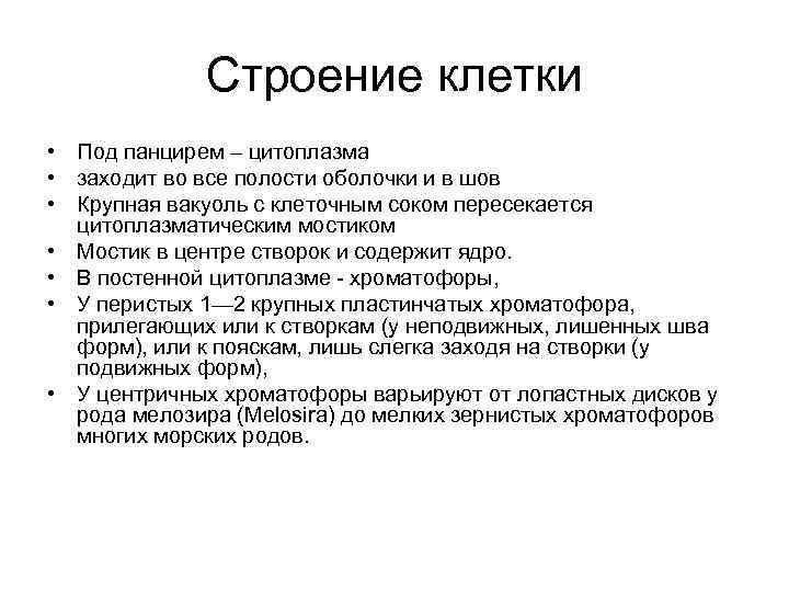 Строение клетки • Под панцирем – цитоплазма • заходит во все полости оболочки и