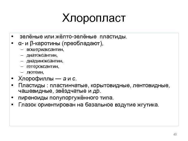 Хлоропласт • зелёные или жёлто-зелёные пластиды. • α- и β-каротины (преобладают), – – –