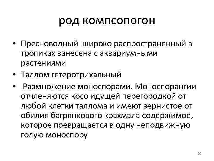 род компсопогон • Пресноводный широко распространенный в тропиках занесена с аквариумными растениями • Таллом